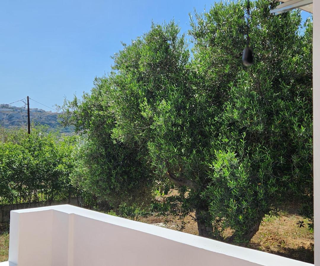 Kos Harmony Apartments Kéfalos Extérieur photo